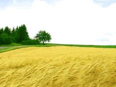 九游网页版登录基地展示5