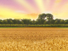 九游网页版登录基地展示3