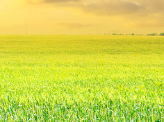 九游网页版登录基地展示1